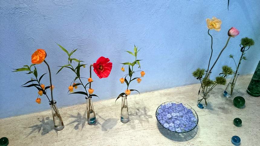 
 
zarte Blumen mit seidigen Bltenblttern: Mohn und Sandersonia

